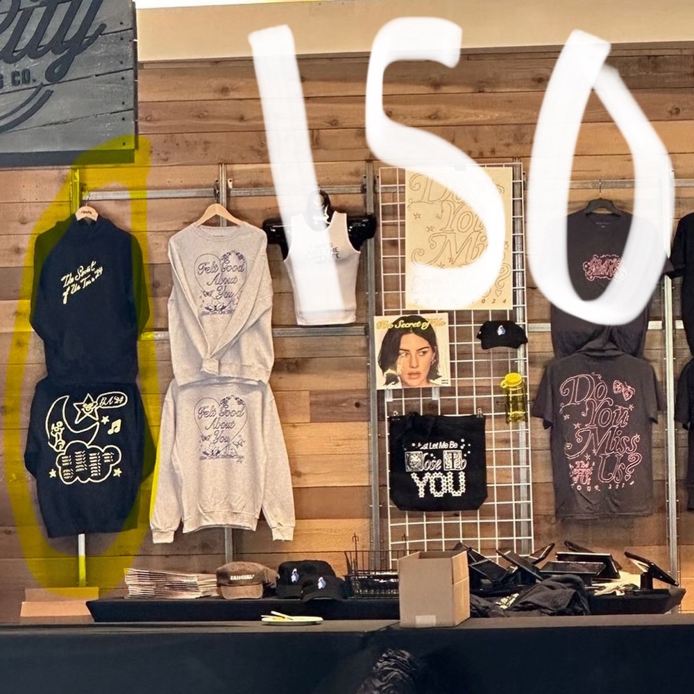 ISO Gracie Abrams hoodie willing to trade with eras tour hoodie